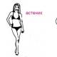 Brief description of the main body types