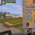 Minecraft Comes Alive family mod